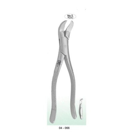 Forceps 5 Para Extraccion