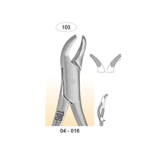 Forceps 103 P/inc. Premolares Raices Inf