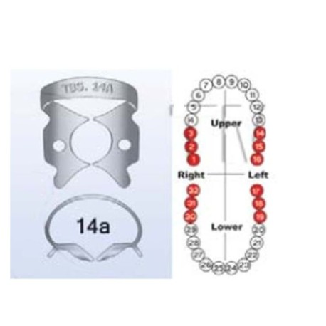 Grapa P/dique De Hule No. 14a