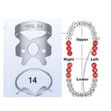 Grapa P/dique De Hule No. 14