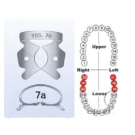 Grapa P/dique De Hule No. 7a