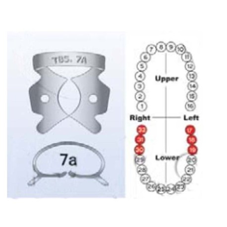 Grapa P/dique De Hule No. 7a